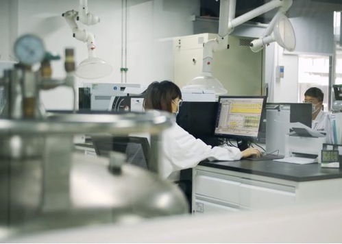 生產活力有序恢復，儀器儀表綜合服務與物聯網應用雙輪驅動助力企業提質增效